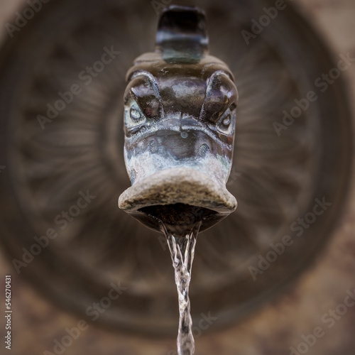 Pretty antique Roman bronze fountain, with a faucet in the shape of a mythological animal. Detail of an old water fountain with classical art carving and decoration.