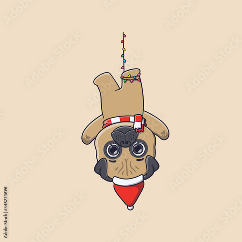 cute pug dog hanging upside down