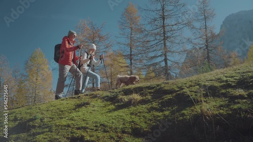 Aerial view of daughter and her senior father enjoying their outdoor hiking activity on a sunny autumnal morning. They are walking on the colorful forest trail, surrounded by beautiful mountains. Acti