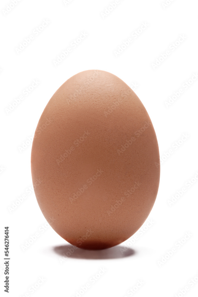 one egg isolated, png file one egg isolated, png file