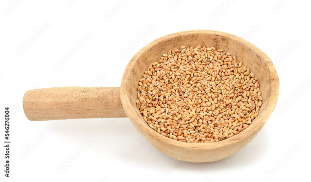 Whole grain of wheat with a jug. Whole grain of wheat with a jug.