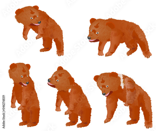 Little bears' characteristic poses for different situations in their lives. Vector illustration isolated on white background.