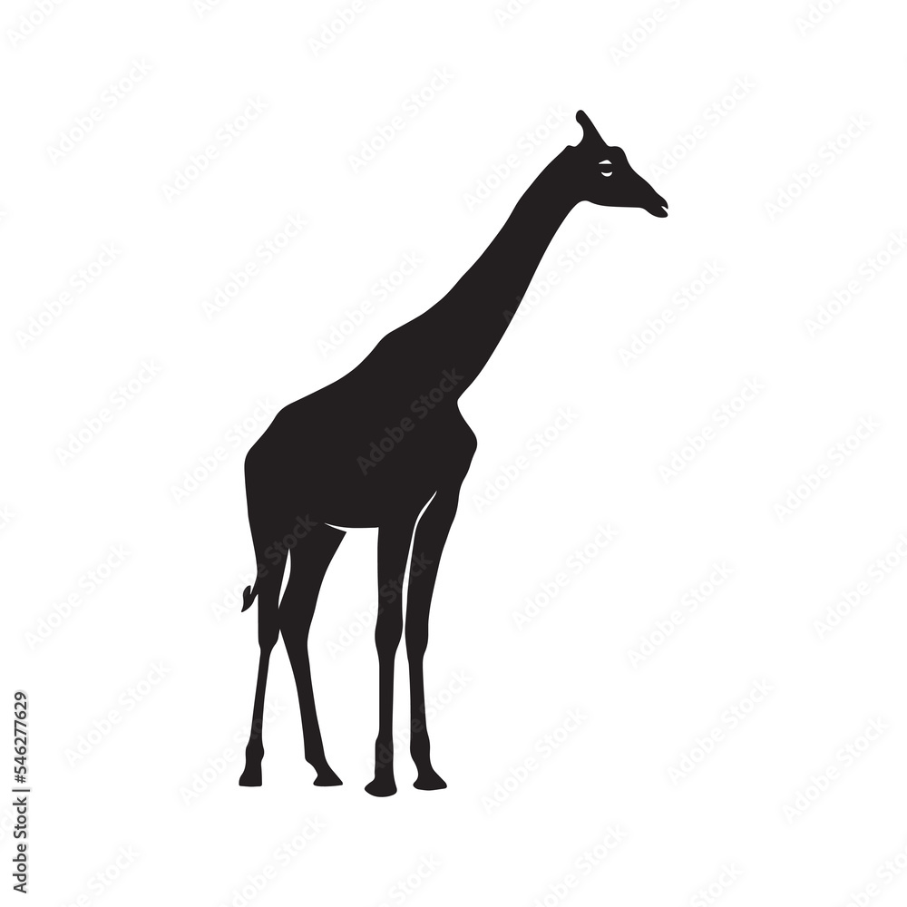 Giraffe vector silhouette. Giraffe vector silhouette.