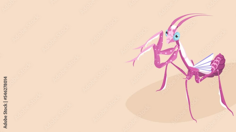 A praying mantis, but in the color of pink A praying mantis, but in the color of pink