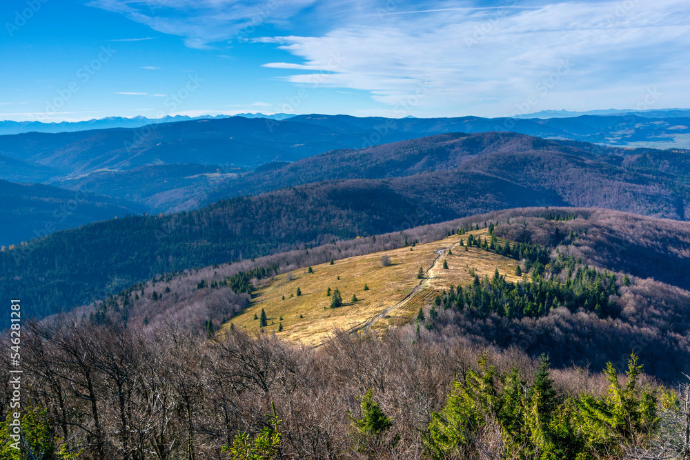 Naklejka premium Stumorgowa Polana z Mogielicy w tle Tatry i Gorce
