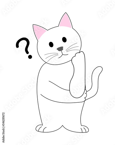 A white cat  gesturing with ?: white background photo