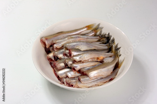 The smelt or European smelt (Osmerus eperlanus) in a plate photo