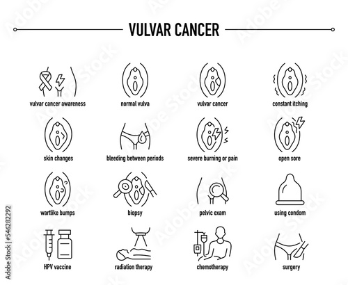 Vulvar Cancer symptoms, diagnostic and treatment vector icon set. Line editable medical icons. photo