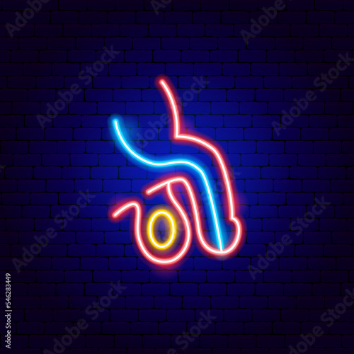 Man Reproductive System Neon Sign. Vector Illustration of Medical Human Health Objects.