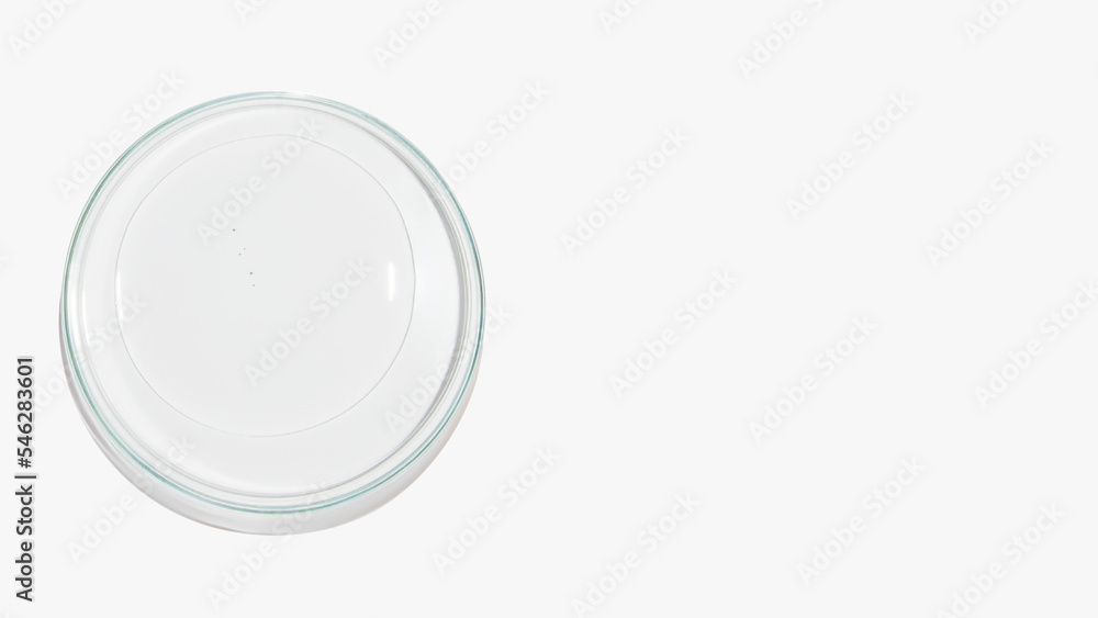 Petri dish with transparent color gel on a light background. Glassware. Liquid. Study. Petri dish with transparent color gel on a light background. Glassware. Liquid. Study.