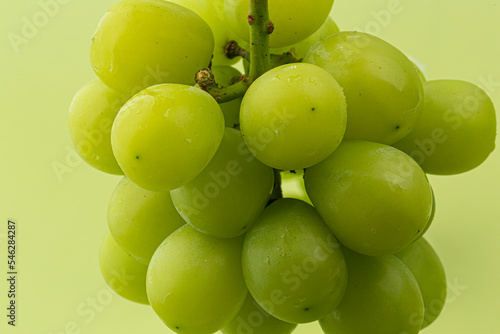 A bunch of Shine Muscat green grape on green background photo