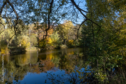 FOREST LAKE ON A SUNNY AUTUMN DAY