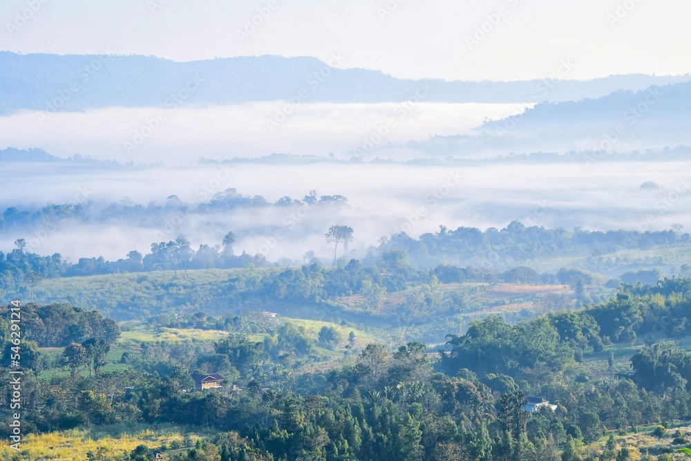 Naklejka premium landscape with fog