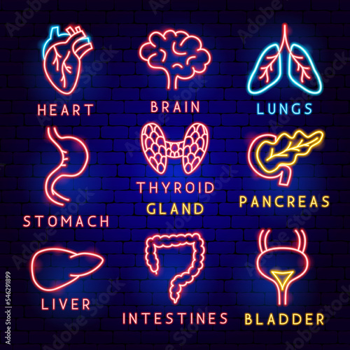 Body Organ Label Set. Vector Illustration of Medical Human Health Objects.