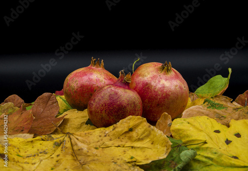 Pomegranate