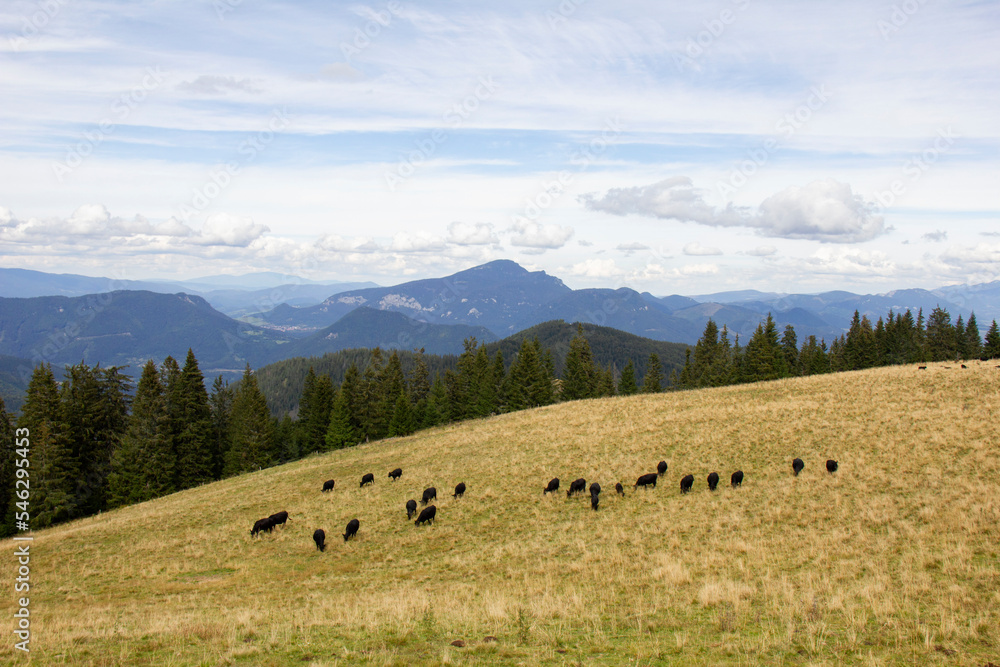 Fototapeta premium Views in Veľká Fatra. Great Fatra, Slovakia.