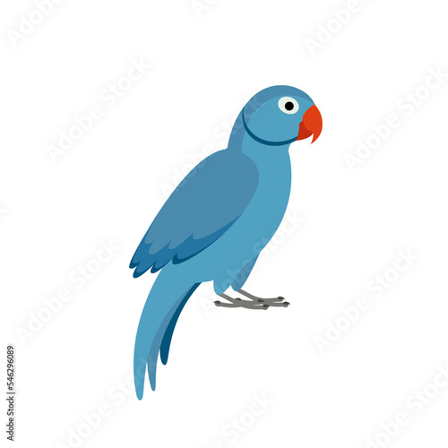 Blue parrot on white background