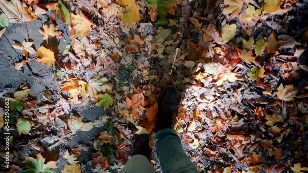 A man walks through a park in November, crunching dry pine needles under his feet A man walks through a park in November, crunching dry pine needles under his feet