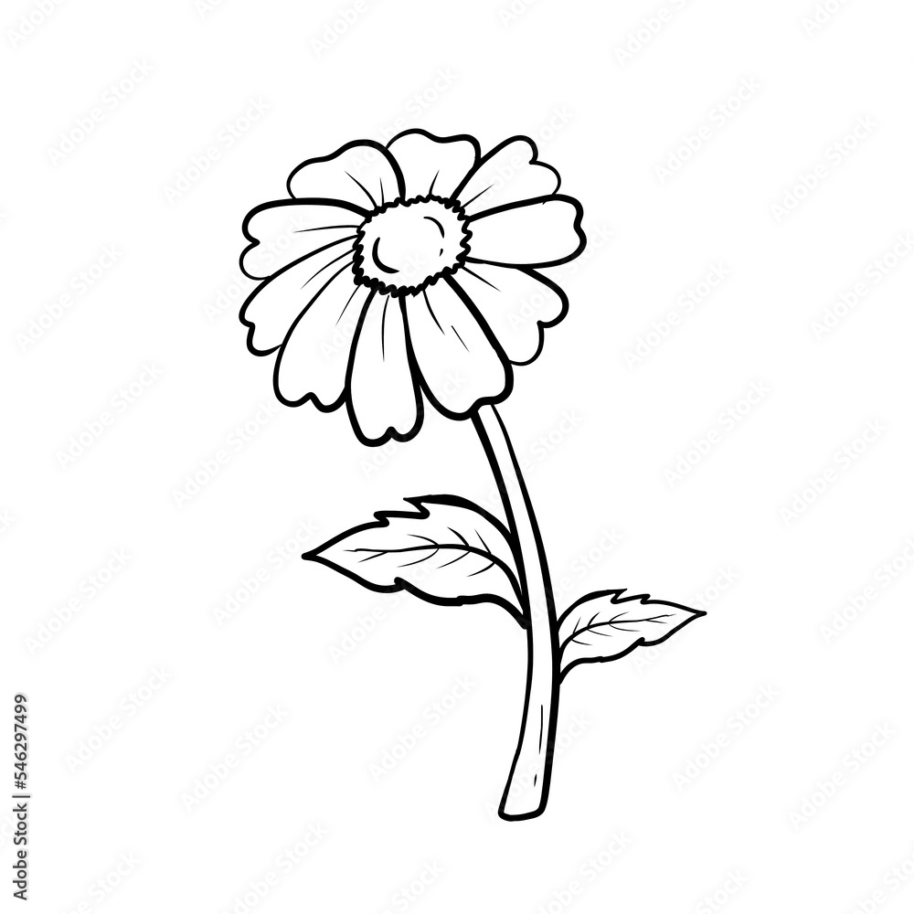 Vector Retro Black and White Hand Drawn Daisy Flower Illustration ...