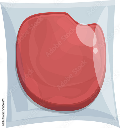 Steak vacuum bag icon cartoon vector. Meat food. Frozen product