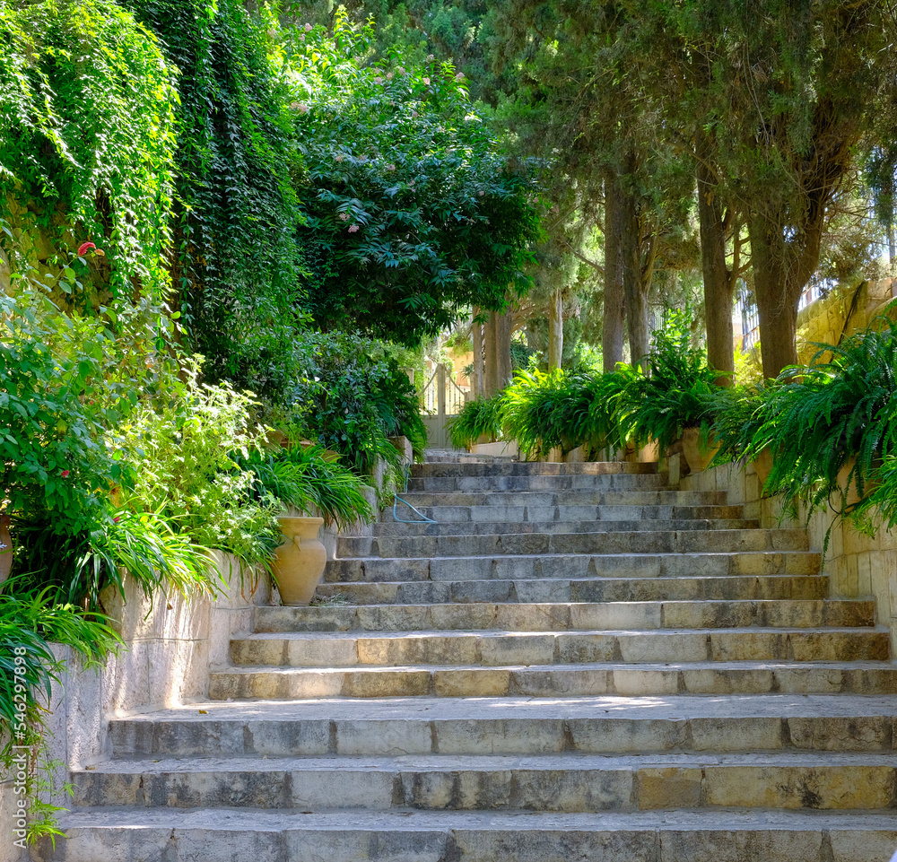 israel, travel, architecture, sea, temples, beautiful views, Jaffa, Eilat, Jerusalem, israel, travel, architecture, sea, temples, beautiful views, Jaffa, Eilat, Jerusalem,