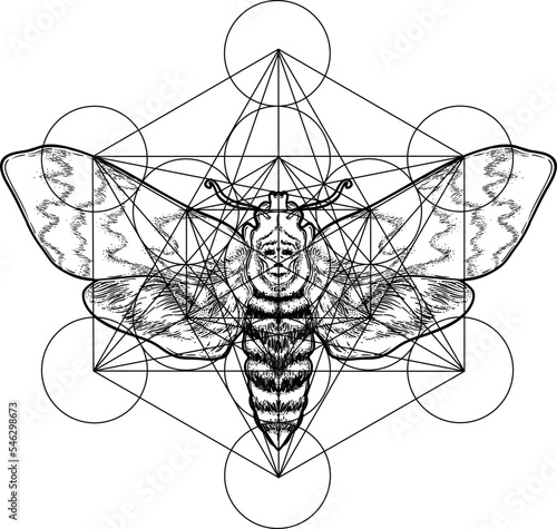 Black and white moth over sacred geometry sign, isolated vector illustration. Tattoo flash. Mystical symbols and insects. Alchemy, occultism, spirituality, coloring book. Hand-drawn vintage.
