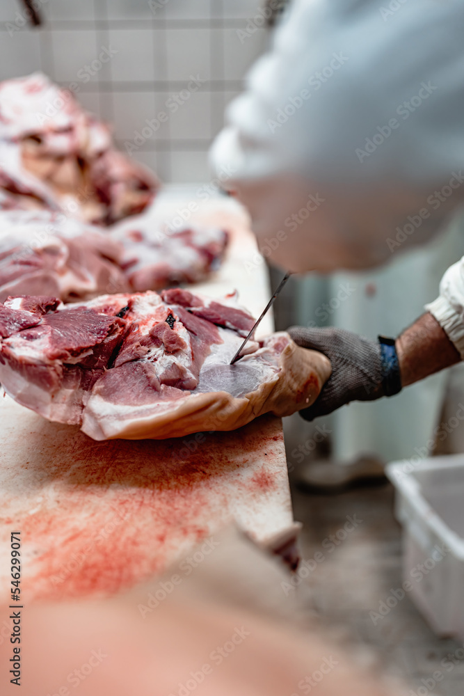 Experienced workers cutting fresh meat in a raw food processing plant. Industrial slaughterhouse worker job. Food industry business concept.