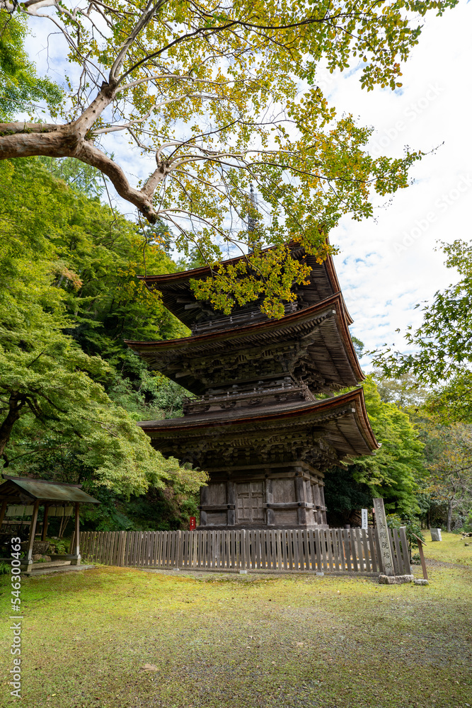 金剛院・鹿原公園・弘法の滝