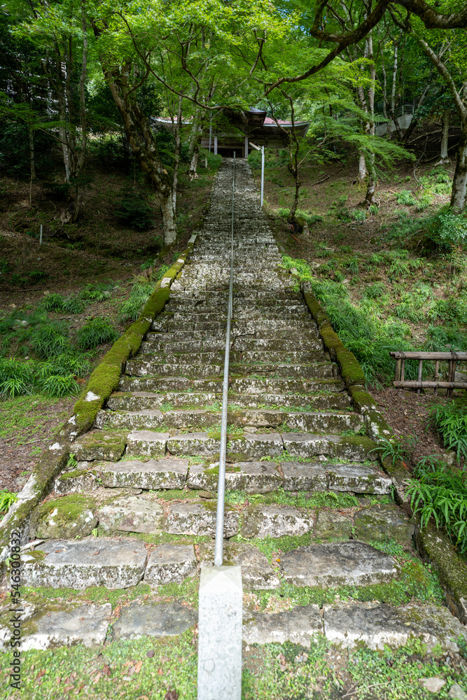 Obraz premium 金剛院・鹿原公園・弘法の滝