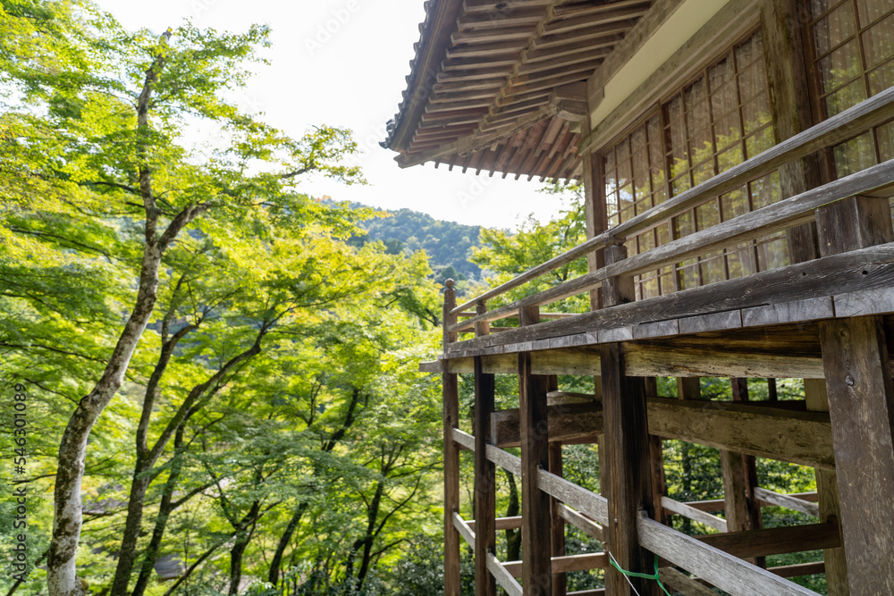 金剛院・鹿原公園・弘法の滝 金剛院・鹿原公園・弘法の滝