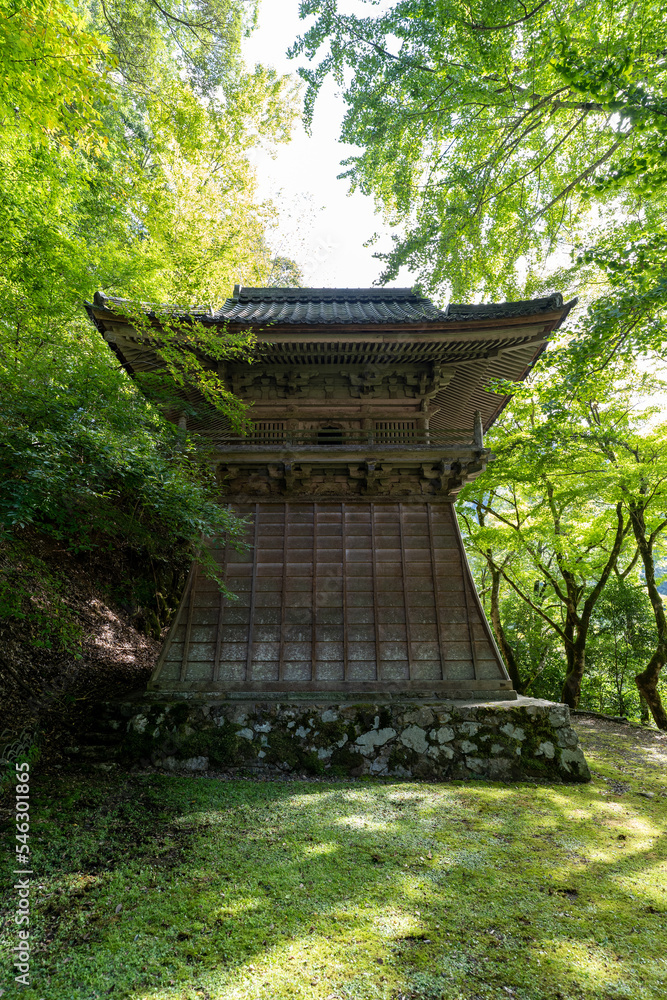 金剛院・鹿原公園・弘法の滝 金剛院・鹿原公園・弘法の滝