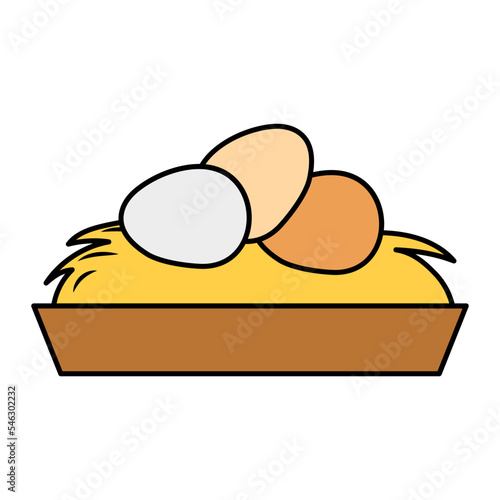 assortment of fresh eggs on nest Concept, Egg Collection vector color icon design, Poultry farming symbol, Meat or Eggs Production Sign, Protein and farmyard equipment stock illustration