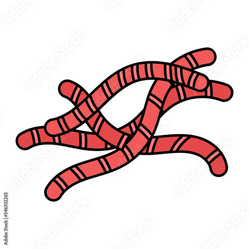  worms and coccidial oocysts Concept vector color icon design, Poultry farming symbol, Meat or Eggs Production Sign, Protein and farmyard equipment stock illustration