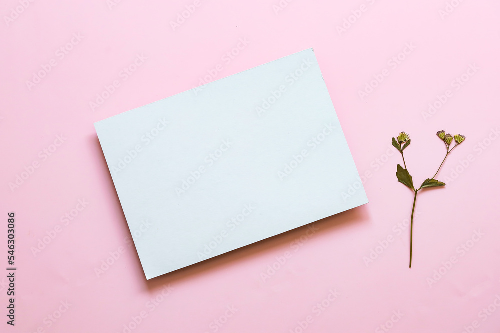 White blank card with dry grass flower on pink background White blank card with dry grass flower on pink background
