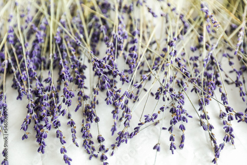 Violet lavender flowers on white background as texture and concept of aromatherapy  beauty and health