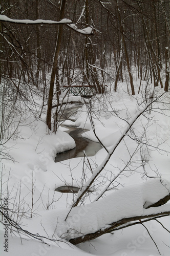 A stream in the winter forest.