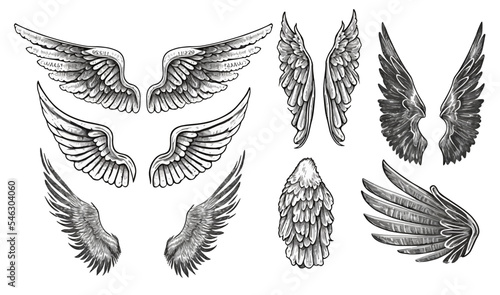 Hand drawn wings, sketch bird or angel wing with feathers. A large set isolated on a white background. Vector illustration