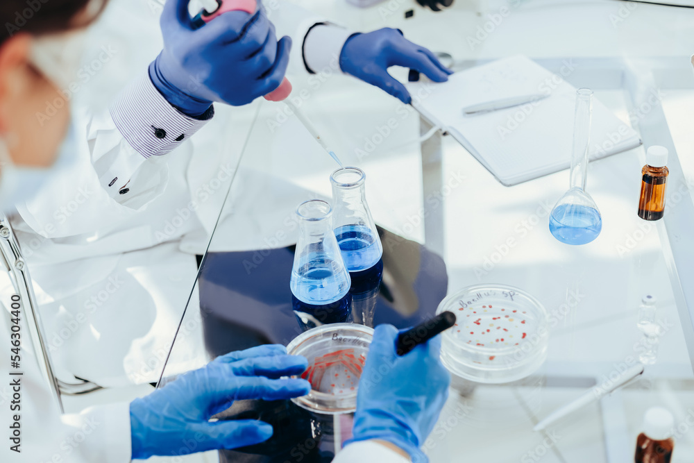 Fototapeta premium scientists conduct research in a microbiological laboratory.