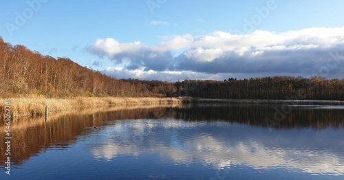 Scenic lake surrounded by vegetation on the shore reflectin in the water © Evlendan/Wirestock Creators