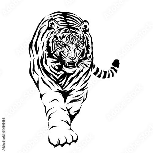 Fototapeta Naklejka Na Ścianę i Meble -  white tiger vector image, suitable for logo designs, t-shirts, stickers, captive logos, companies, icons, etc.