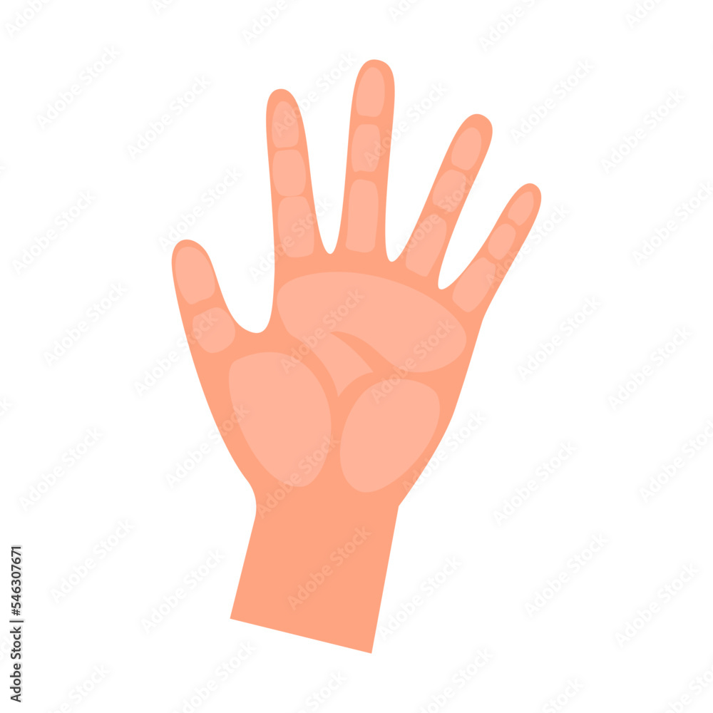 Obraz premium Cartoon person hand showing number five with fingers isolated on white background. Hand of people counting vector illustration. Gestures, education concept