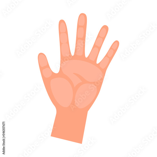Cartoon person hand showing number five with fingers isolated on white background. Hand of people counting vector illustration. Gestures, education concept