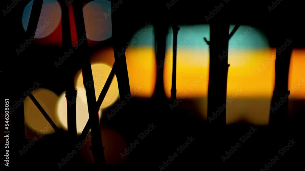 Closeup of silhouettes of branches at night with yellow traffic lights in the background Closeup of silhouettes of branches at night with yellow traffic lights in the background