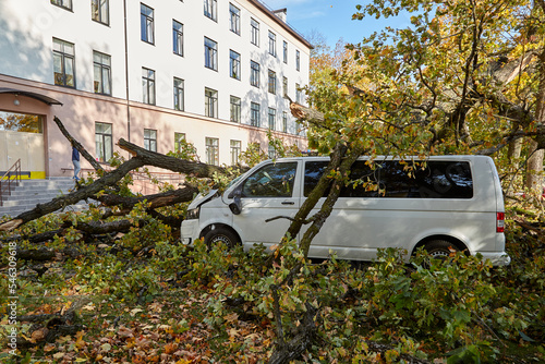 a strong wind broke a tree that fell on a cars parked nearby © jteivans