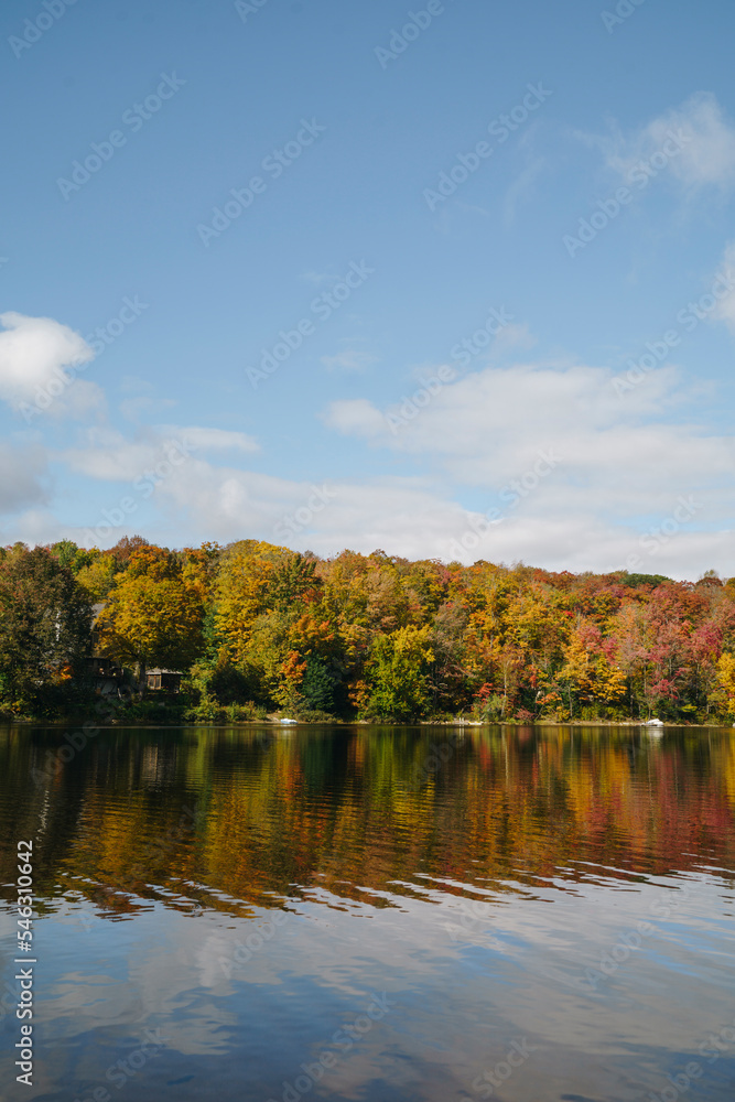 Lake in autumn forest reflecting trees Lake in autumn forest reflecting trees