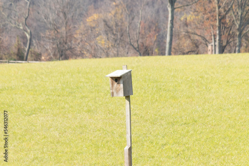 Love the picture of this birdhouse all alone in the middle of the field. This little brown wooden house is sitting here with no inhabitance due to the cold weather. The woods in the background. photo