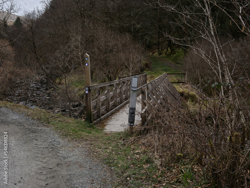 On the Loch Lomond and Cowal way, a wooden footbridge over the River Cur  in Strachur Forest by Balliemeanoch. Strachur. Argyll and Bute. Scotland photo