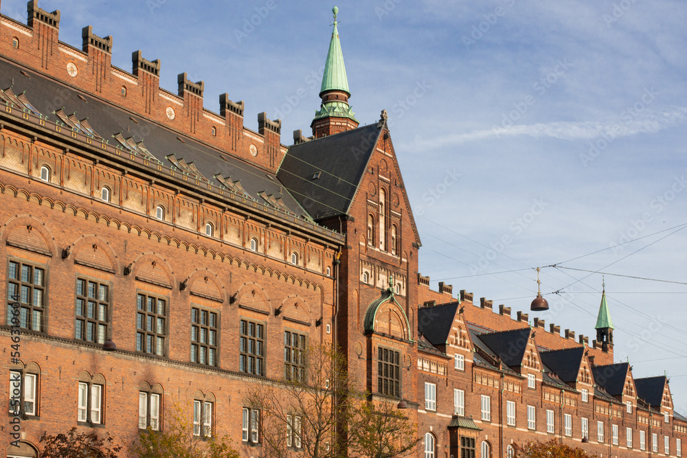Fototapeta premium intricate brickwork of Copenhagen City Hall