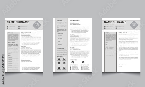 Resume Template CV Professional or Jobs Resumes Layout Gray Resume Kit 