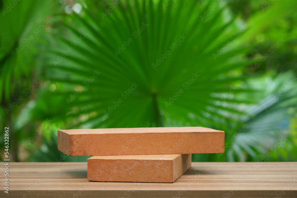 empty brick podium wood texture in tropical outdoor garden green plant soft sunlight blur background with space.organic healthy natural product present promotion display,nature forest jungle design. empty brick podium wood texture in tropical outdoor garden green plant soft sunlight blur background with space.organic healthy natural product present promotion display,nature forest jungle design.